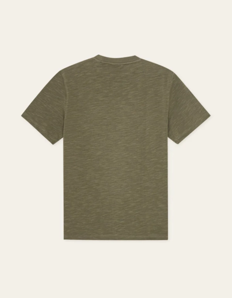  522 OLIVE NIGHT