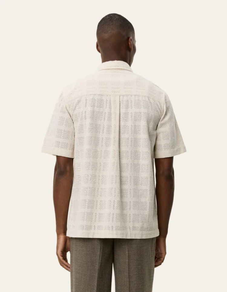  215 IVORY