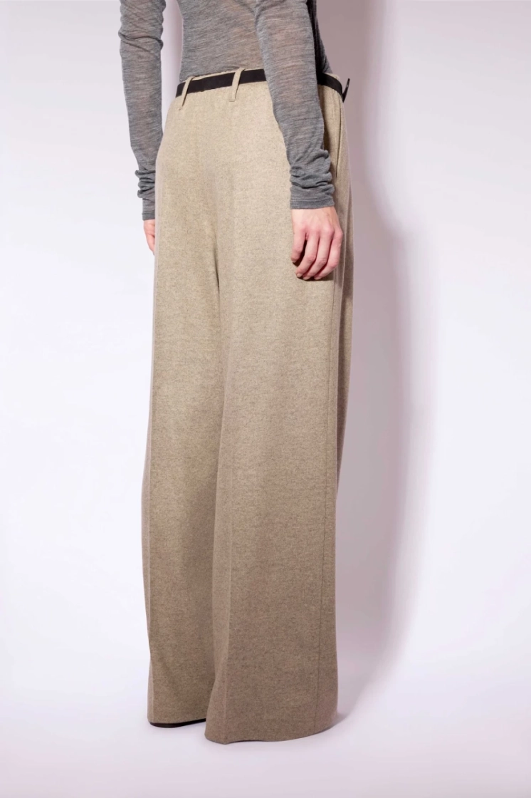  W57 BROWN CASIA